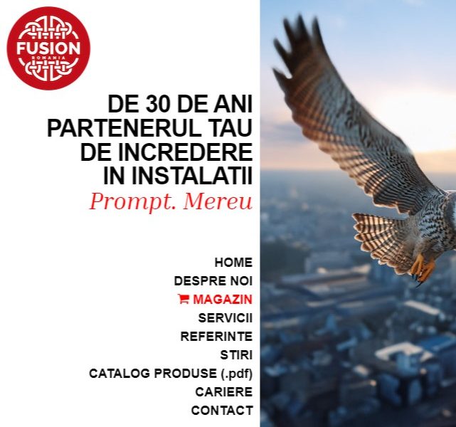 web design_fusion romania