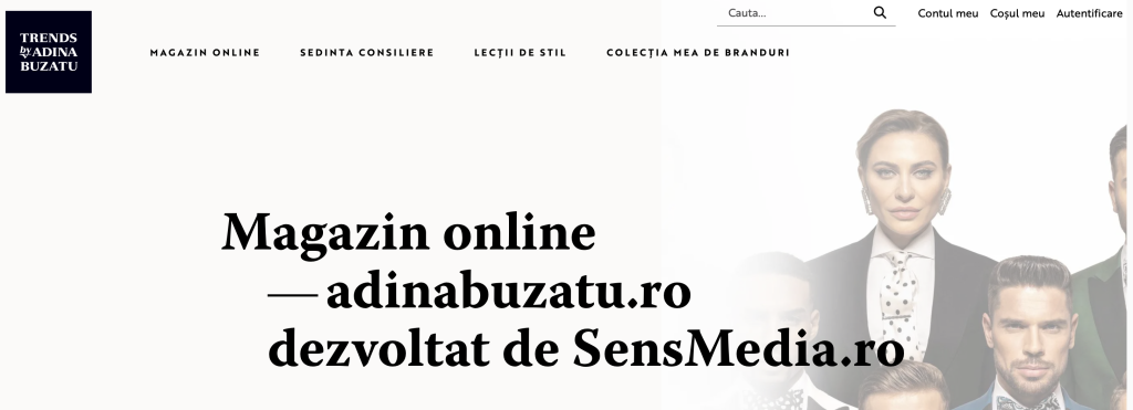 web design_sensmedia_adinabuzatu creare site wordpress
